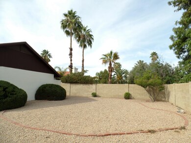 Large Back Yard