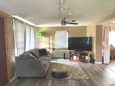 228 E 3rd St, Oglesby, IL 61348 - photo 3