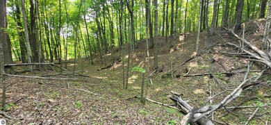 TBD Veldkamp Ln, Central Lake Township, MI 49622 - photo 7