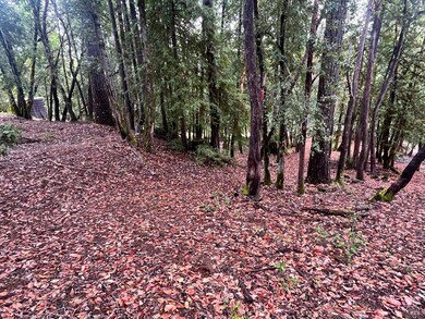 1817 Clover Dr, Brooktrails, CA 95490 - photo 4