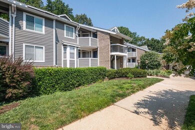 9461 Hickory Limb, Columbia, MD 21045 - photo 6