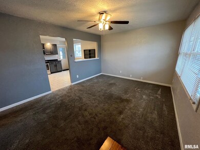 728 Bryan Ave, Lincoln, IL 62656 - photo 3