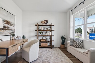 262 Snowdrop Ln, Elgin, IL 60124 - photo 4