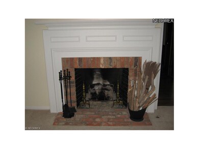 Formal Living Room Fireplace
