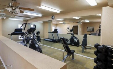 ally gym