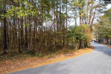 0000 Herbert St, Columbia, SC 29205 - photo 4
