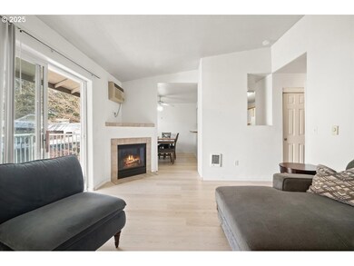 Fireplace Gas