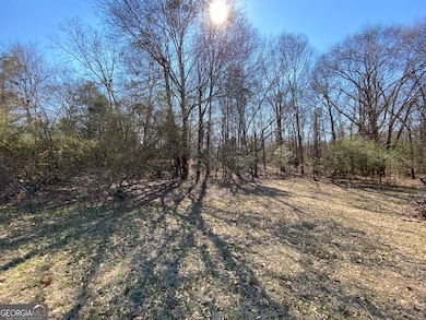 LOT 4 Majestic Shores Rd, Reed Creek, GA 30643 - photo 2