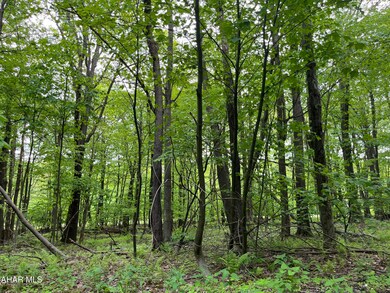 00 Ridge Run Rd unit Lot 227, Claysburg, PA 16625 - photo 6