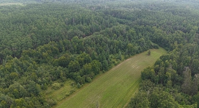 TBD Tangnes Forest Rd, Southeast Roseau Unorg. Terr., MN 56673 - photo 3