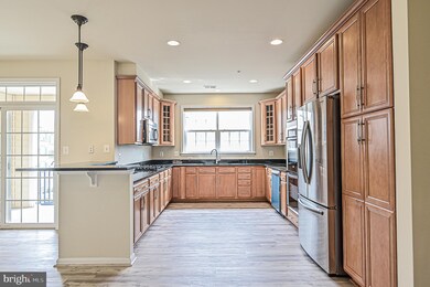 22710 Verde Gate Terrace, Ashburn, VA 20148 - photo 4