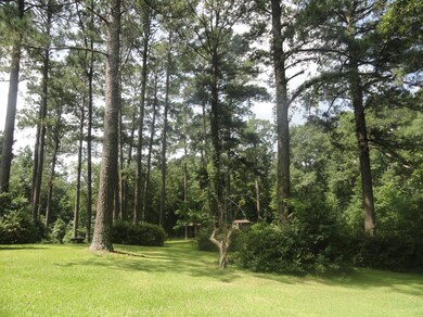 2012 Wansley Rd, Laurel, MS 39443 - photo 4