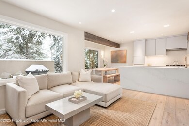 814 W Bleeker St unit C4, Aspen, CO 81611 - photo 4