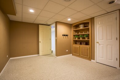 4740 Fesseneva Ln unit 1, Naperville, IL 60564 - photo 5