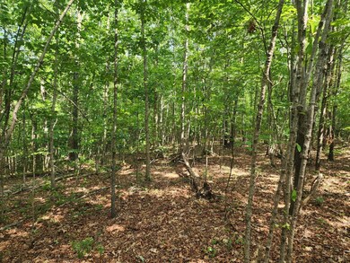 Lot 7-1 Red House Rd, Appomattox, VA 24522 - photo 5