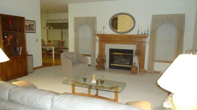 Gas fireplace, custom neutral window treatments re