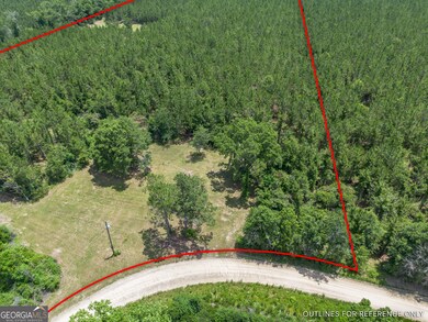 0 Oriole Rd unit 10543585, Alma, GA 31510 - photo 3