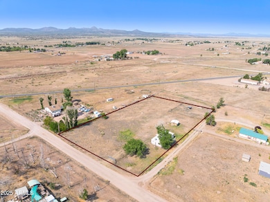 Aerial Overview 1