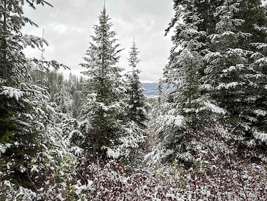 NKA Deer Creek Rd, Valley, WA 99181 - photo 4