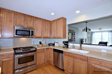 1003 Crane Point unit 532, Elgin, IL 60124 - photo 4