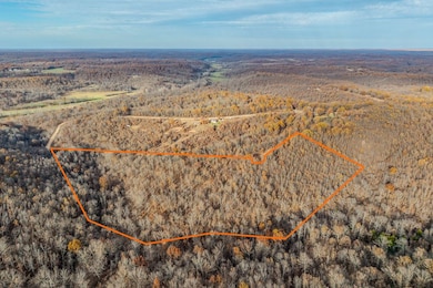 000 Winchester Ct, Tunas, MO 65764 - photo 4