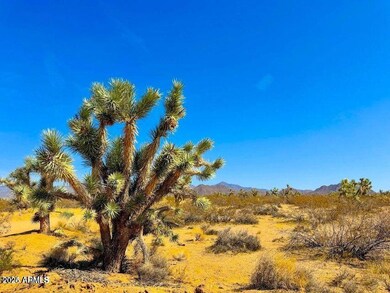 20241105064545796246000000-o