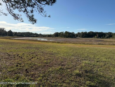 9325 Grizzly Bear Ln, Weeki Wachee, FL 34613 - photo 6