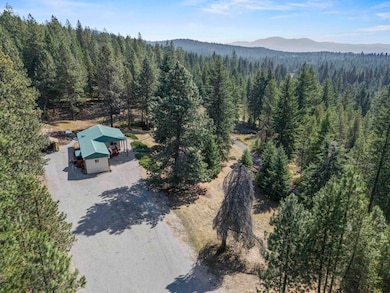 152 Tillacum Trail, Newport, WA 99156 - photo 7