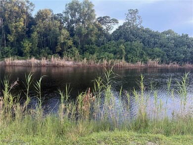 0 66th St SW unit 225071554, Central Naples, FL 34105 - photo 3