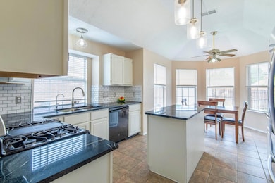 6101 Hawkeye Rd, Rowlett, TX 75089 - photo 6