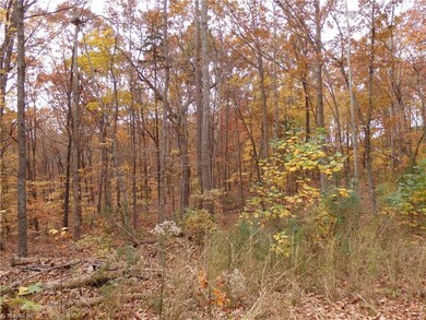 617 Horse Mountain Dr, Asheboro, NC 27205 - photo 7