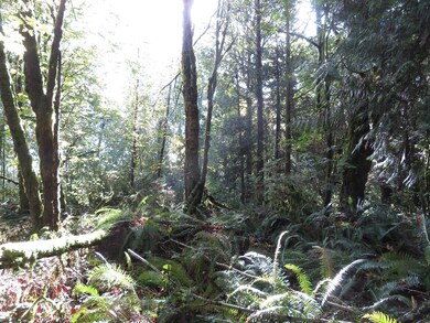 0 Klein Rd unit 17550674, Napavine, WA 98565 - photo 5