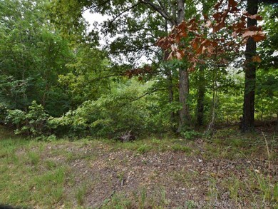 6355 N Big Feather Ridge Rd, Proctor, OK 74457 - photo 6