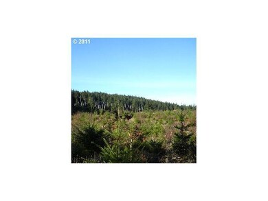 23495 Gooseneck Rd, Sheridan, OR 97378 - photo 2