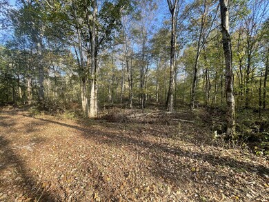0 Ownby Rd, Lewisburg, TN 37091 - photo 2