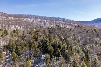 0 Manelick Rd unit 4,5,6,7 4850075, Stowe, VT 05672 - photo 7
