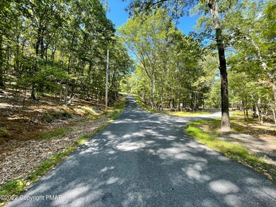 0 Lot 151 Chipmunk Rd unit PM-100594, Bushkill, PA 18324 - photo 4