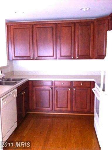 42219 Terrazzo Terrace, Stone Ridge, VA 20105 - photo 7