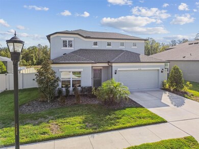 18196 Porfirio Place, Spring Hill, FL 34610 - photo 3