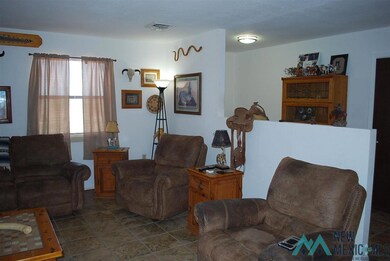9645 La Bajada Rd SW, Deming, NM 88030 - photo 6