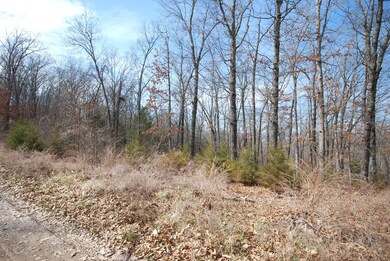 Lot 4 Irish Hills Blvd, Kimberling City, MO 65686 - photo 3