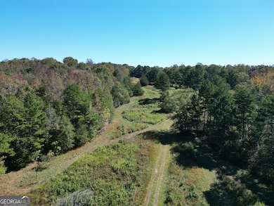 0 Erastus Church Rd unit 10647280, Commerce, GA 30530 - photo 7