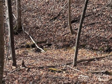 TBD Buck Mountain Rd unit 21, Purlear, NC 28665 - photo 5