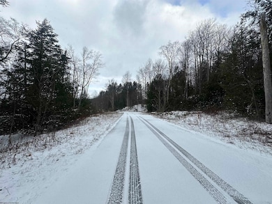 Lot 86 Gondola Ct, Davis, WV 26260 - photo 4