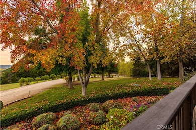 This is as peaceful as it gets.