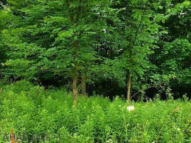 Lot 33 Granada Way, Altoona, PA 16601 - photo 2