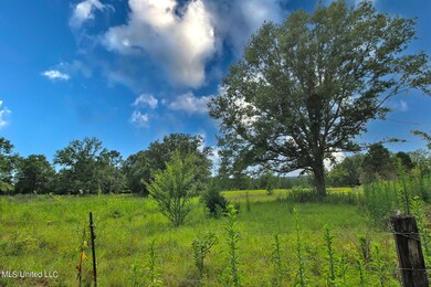 155 Glen Vincent Rd, Lucedale, MS 39452 - photo 4