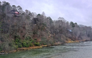 Additional View