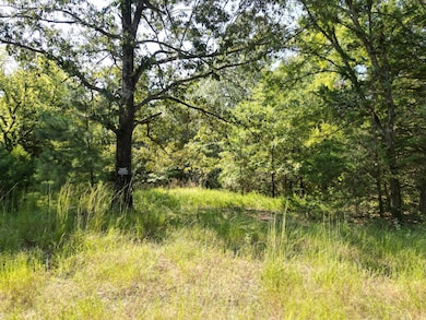 7 N Hall Rd, Antlers, OK 74523 - photo 7