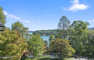 156 Little Deer Path Ln, Lafollette, TN 37766 - photo 6